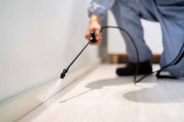 Bed Bug Pre-Treatment Preparation Assessment in Morrice