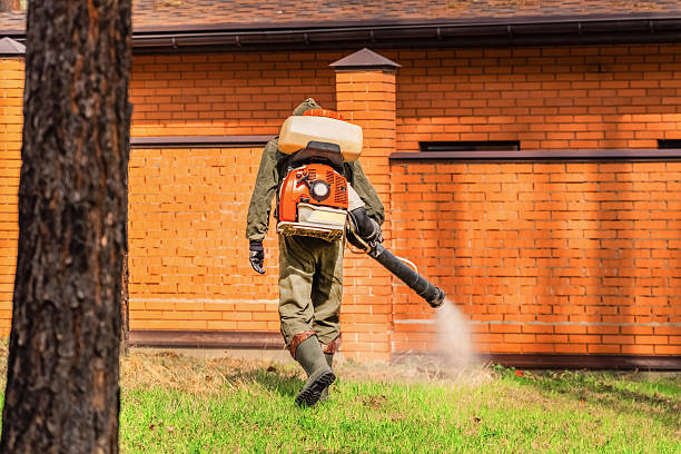 Bed Bug Clearance Verification and Documentation in Morrice